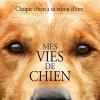Mes Avis films
