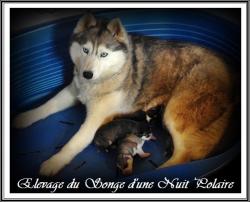 Portée de Joy (1er mai 2019)