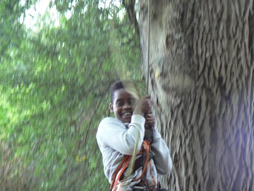 Une journée "accrobranche" enrichissante et inoubliable!