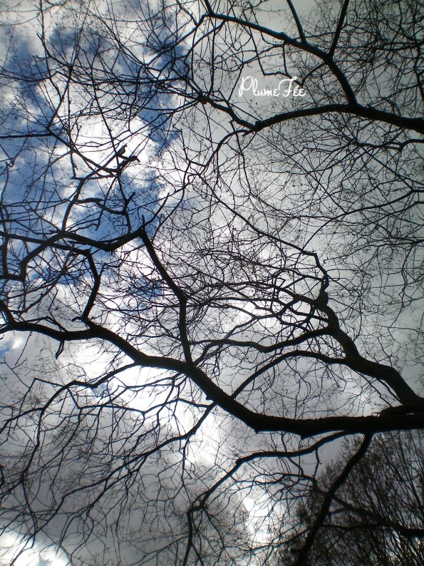 Image012.jpg