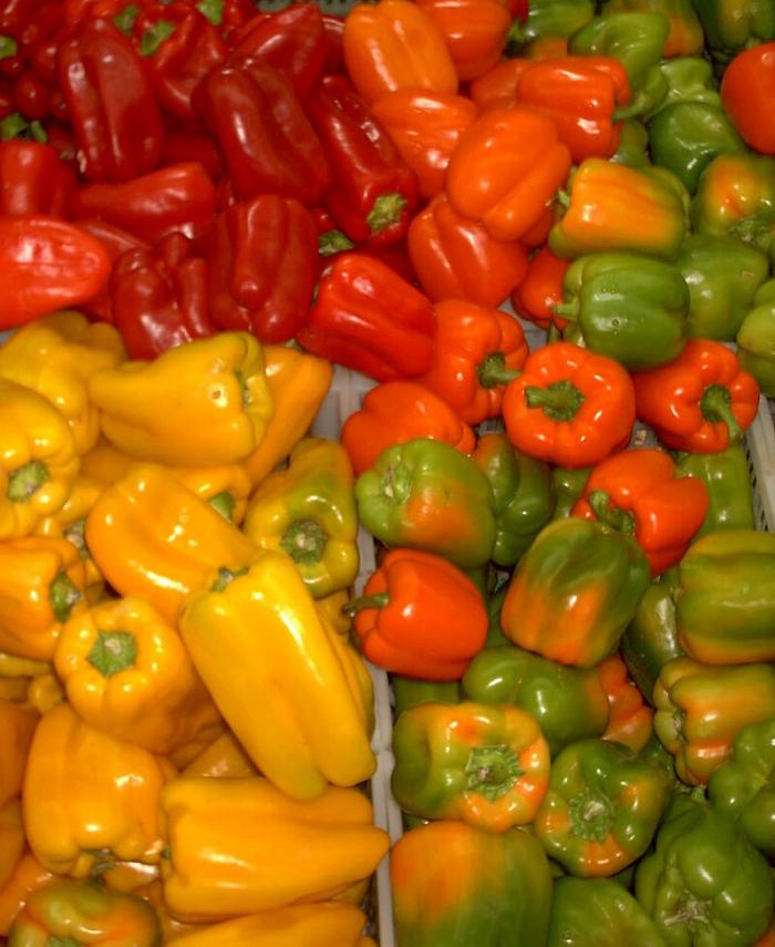 Légumes du mois d'Août