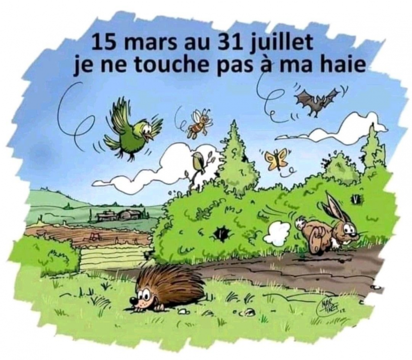 Balade à Lussan...