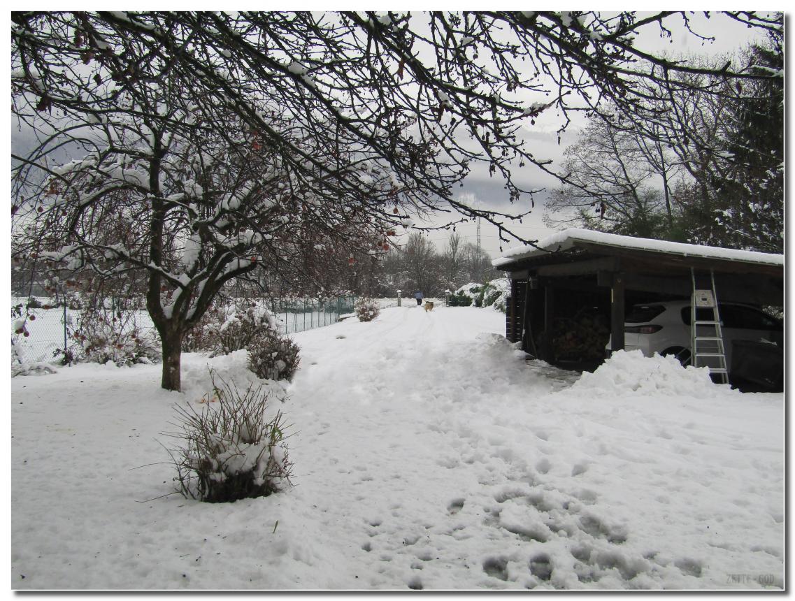 LE 13-01-2021 IL NEIGE 