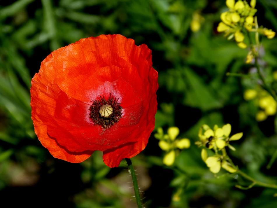 Entre deux coups de fil ...