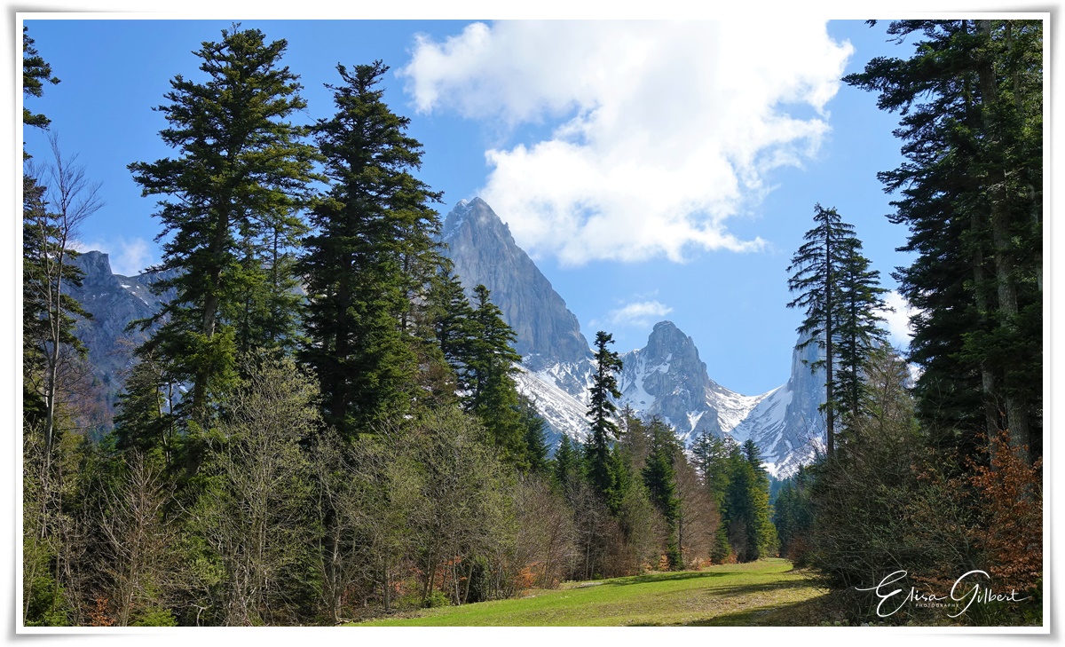 Le Vallon de la Jarjatte