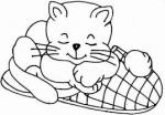 Le chat section 1