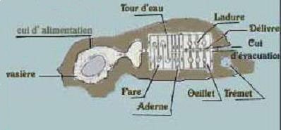 fonctionnement-marais-salant.jpg