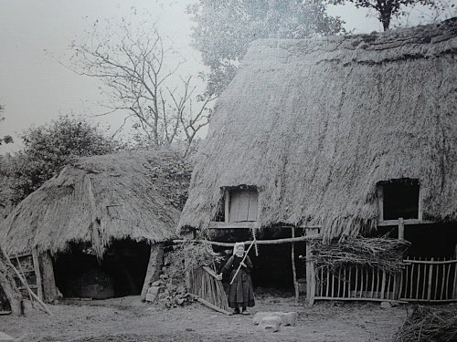 limg-1862450167.jpg