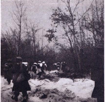 * "Survivant de Bir Heim" par Domingo LOPEZ -10- De l'Alsace (1945)  au 8 Mai 1945