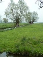 La randonnée du 6 mai à Bavent