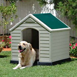 LES VACHES ET LE MAGNETISME