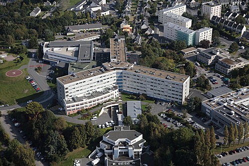 gal-1113950.jpg