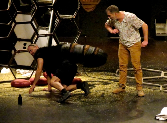 " Födösokande bi (alive)" au théâtre Gaston Bernard de Châtillon sur Seine nous a alertés sur le devenir des abeilles......