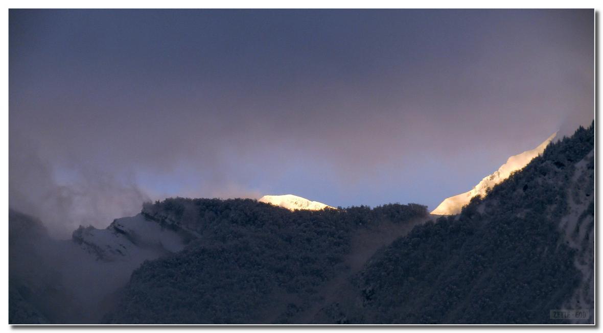  PAYSAGE  DE  JANVIER  2021