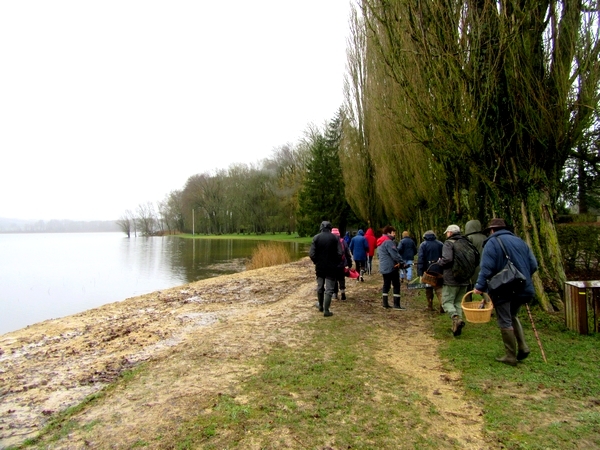 Une belle sortie de la Société Mycologique au bord de l'étang de Marcenay, à la recherche de pézizes et autres beaux champignons