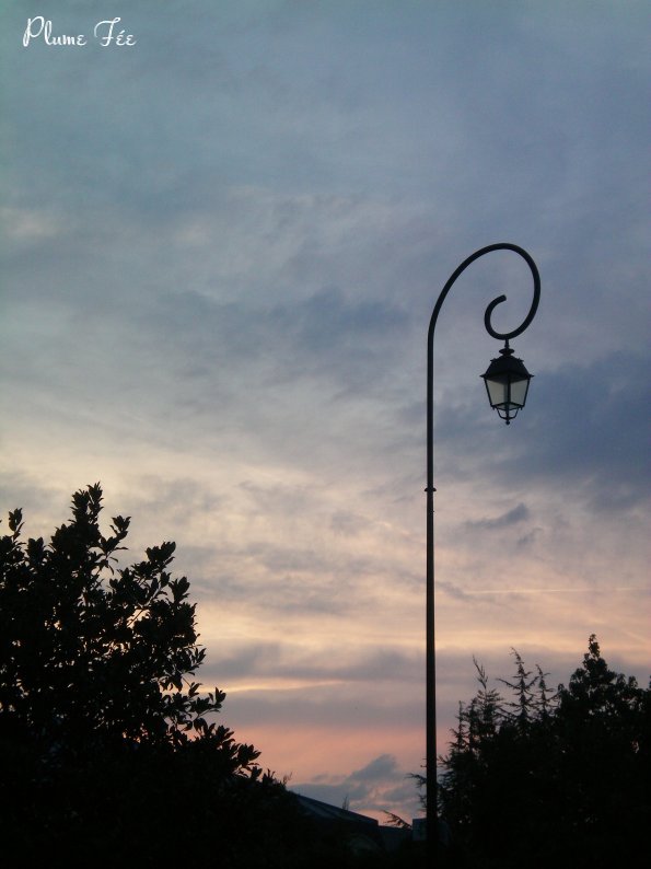 Image002.jpg
