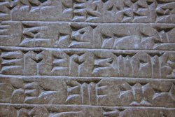 MARI La Cité Mésopotamienne