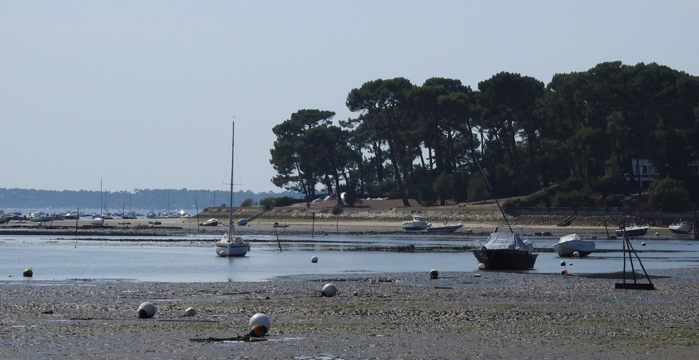 Pique-nique à Petit-Piquey, sur la presqu'île de Lège-Cap-Ferret...