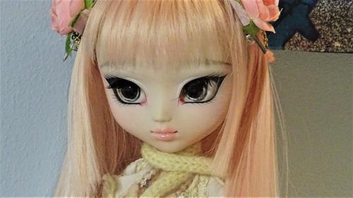 Séance photo de Shirohime~