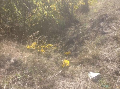 Maison inaccessible en milieu urbain