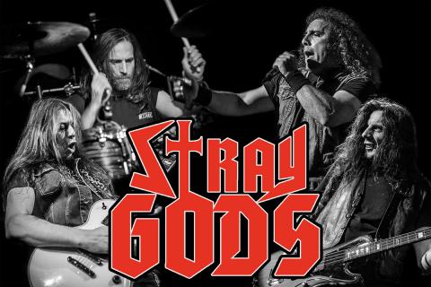 STRAY GODS - Détails et extrait du premier album Storm The Walls