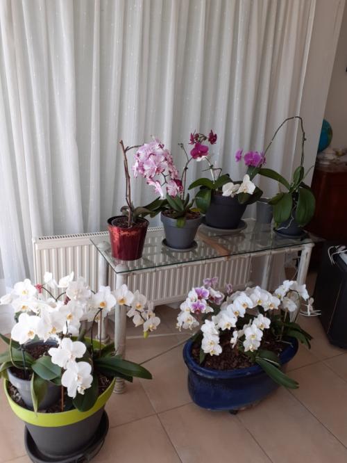 Chez une Amie en Aveyron