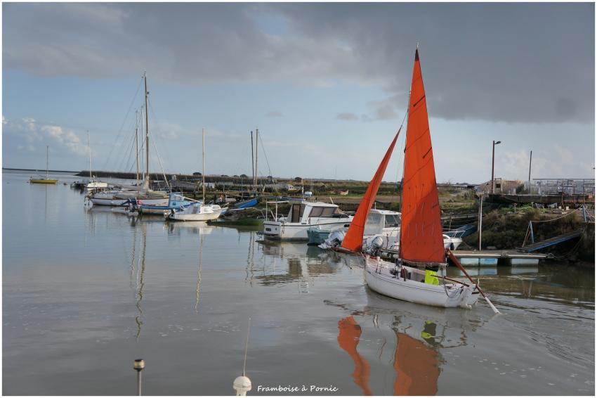 Réserve ornithologique Marais Mullembourg Noirmoutier en l' île 
