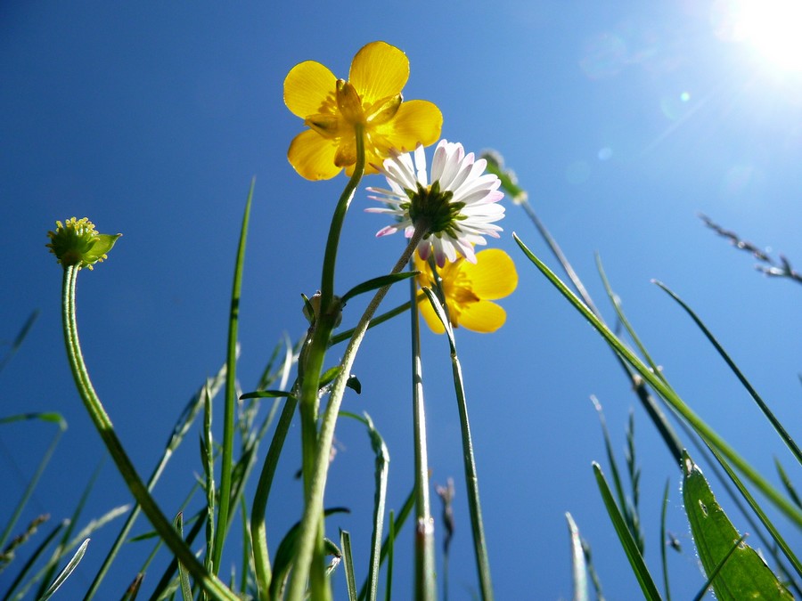 Pour le sourire de deux enfants ... et plus ...