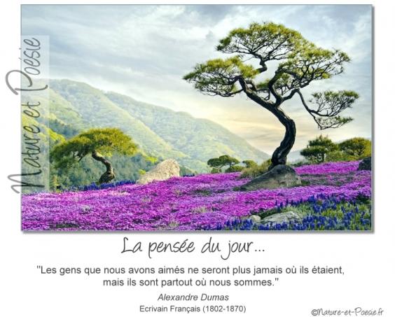 d70a5134-b0ed-471a-b107-a1b94dfd4131