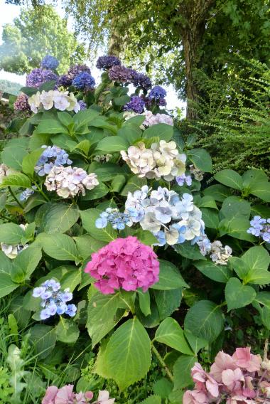 Petits bonheurs du jour :