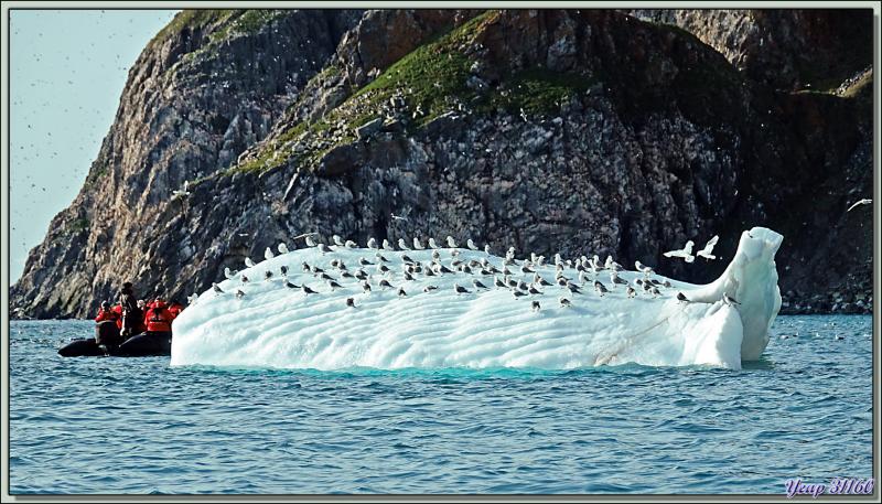 Sous-marin polaire et avec tout son équipage ailé sur le pont - Coburg Island - Baffin Bay - Nunavut - Canada