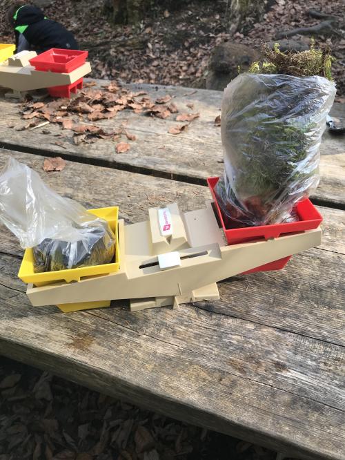 Sorties de mars 2022