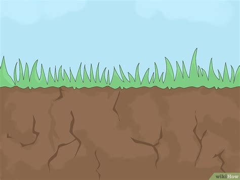 Comment lutter contre l'érosion des sols: 27 étapes