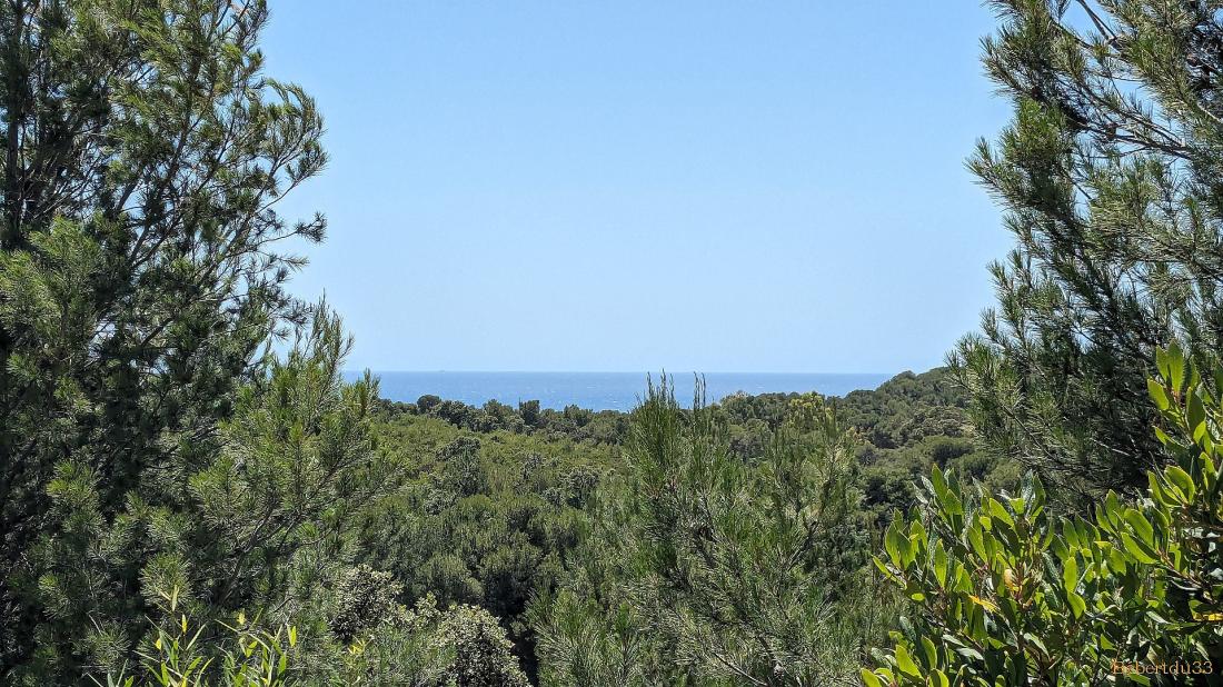 Le Pradet dans le Var