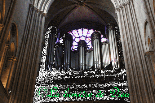 La cathédrale Notre-Dame de Paris