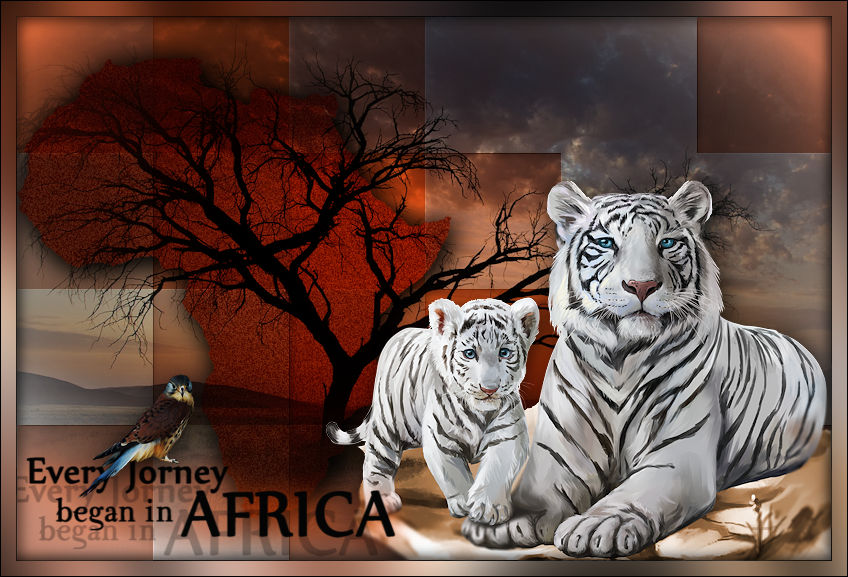 Violine-Afrika-Barbara4.jpg