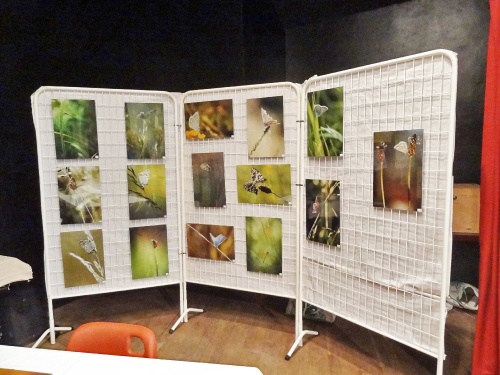 "Mains et Merveilles " une très belle exposition à Aignay le Duc..