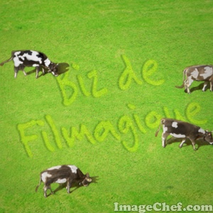 samp534c8f26d3463ca6