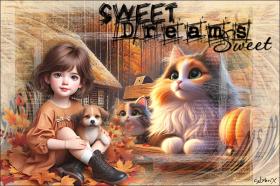 Sweet Dreams Sweet - Fais de beaux rêves