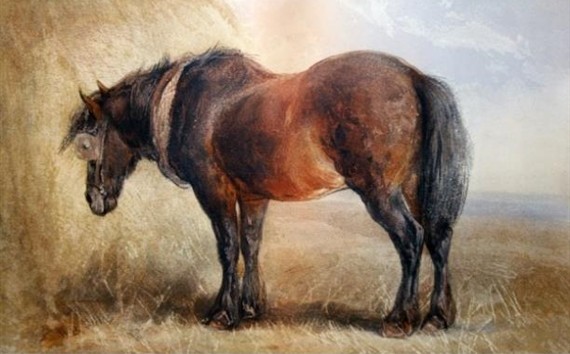 Peintures de :