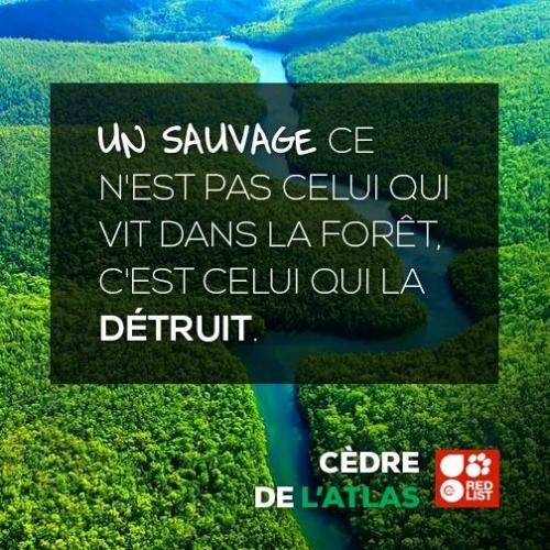 Nuance...!!