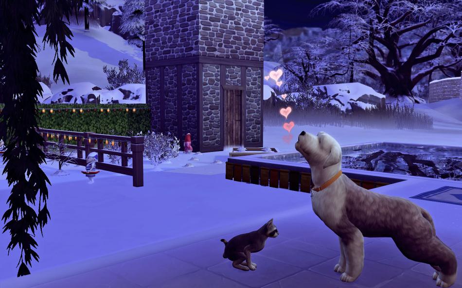 [CALF] Huver 3 - Semaine 15 - Jours 104 à 107