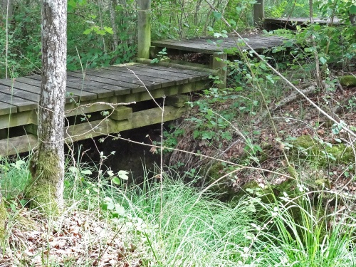 Visite du marais du Cônois....