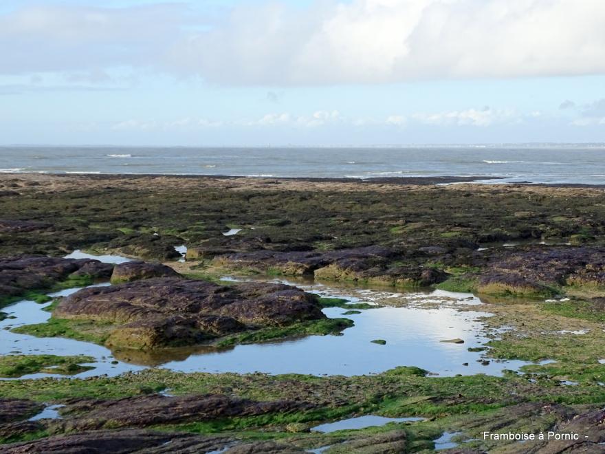 Sentier littoral La Plaine sur mer - 44 - 
