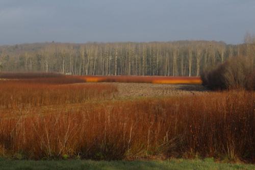 Villaines-les-Rochers  (Indre-et-Loire)