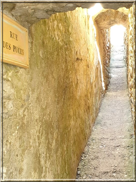 1003 - Traversée de l’Ardèche : Vogüé (07)