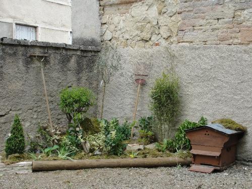 -Les actions du Lions Club