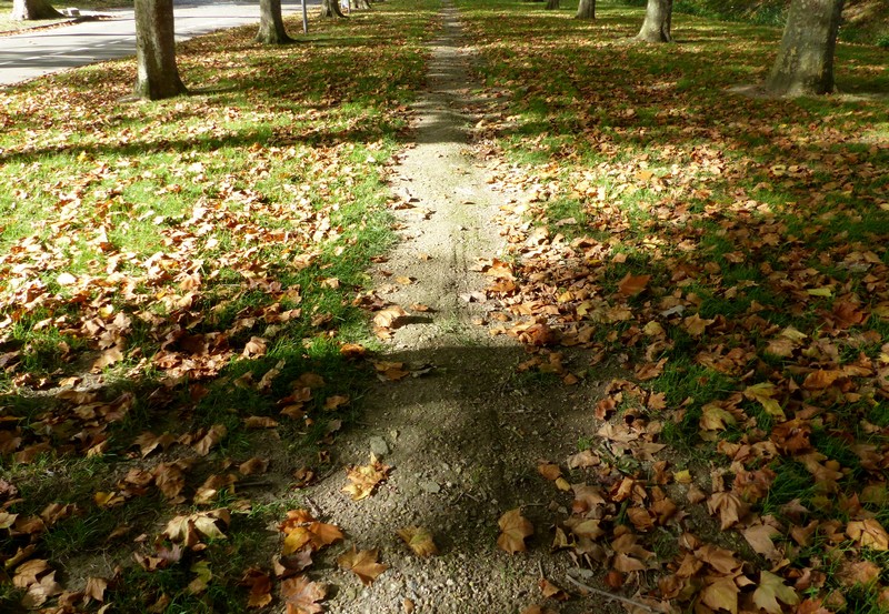 Le soleil m'accompagne au Parc de la Hotoie