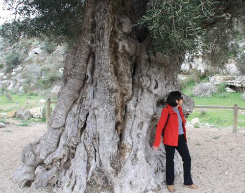 Lundi 20 au dimanche 26 janvier