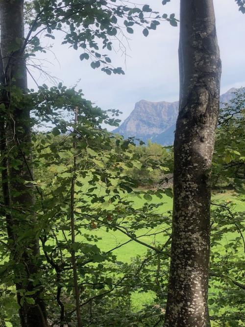 Les Rollands - Les Goirands (Montclar)